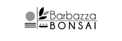 logo barbazza bonsai